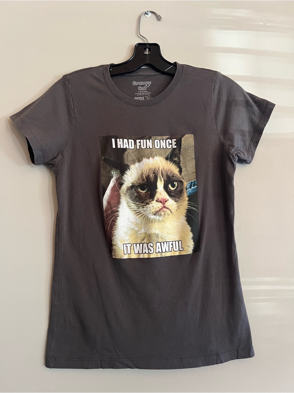 Grumpy Cat “I Had Fun Once It Was Awful” Graphic T-Shirt Women’s Small Gray
